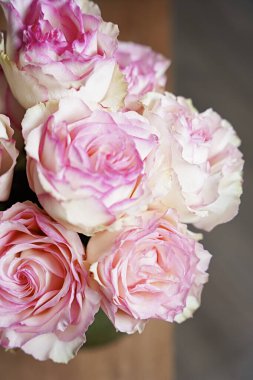 narin pembe güller, çiçekler, bahar çiçekleri, buket, yeşil vazo, vazodaki çiçekler