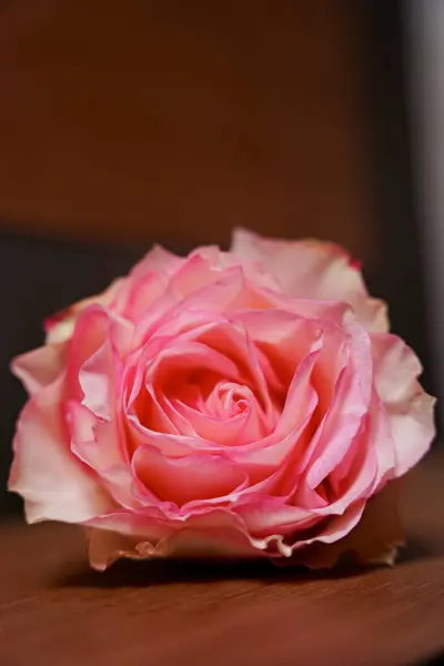 narin pembe güller, çiçekler, bahar çiçekleri, buket, yeşil vazo, vazodaki çiçekler