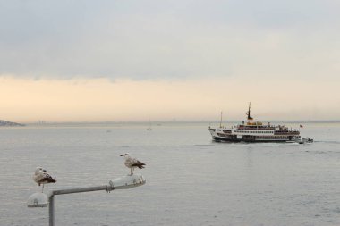 İstanbul, Türkiye - Boğaz manzaralı feribot