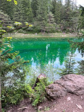 Bereketli bir yeşillik ve berrak bir göl içeren huzurlu bir orman sahnesi. Sükunetin ve doğal güzelliğin mükemmel bir temsili, canlı renkleri ve sakin atmosferi vurguluyor..