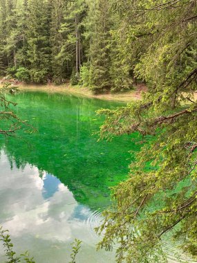 Huzurlu bir zümrüt yeşili göl yemyeşil ormanlarla kaplıdır. Sahne doğal güzellik ve sükuneti yansıtıyor, doğanın sükunetine huzurlu bir kaçış sunuyor..