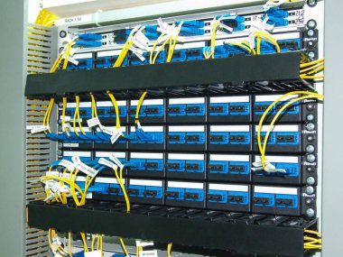 Bir ağ dağıtım paneli organize fiber optik bağlantıları sergiler. Profesyonel bir ortamda etkin veri transferi sağlayan birkaç kablo güvenli bir şekilde bağlanmıştır..