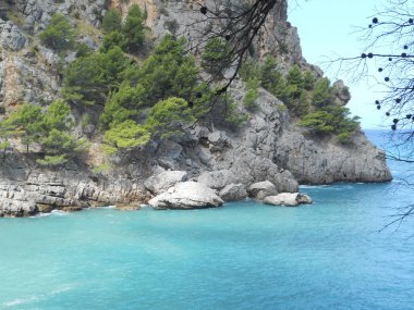Kristal berraklığında turkuaz sular Siesta Key 'de yemyeşil sularla çevrili kayalık kıyılara nazikçe sarılır. Bu sakin manzara, güneşli bir günde doğaya mükemmel bir kaçış sunar..