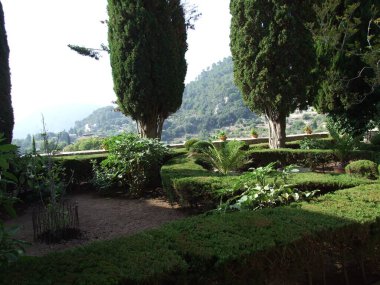 Bu sakin bahçe vitrinleri uzun ağaçlar tarafından çerçevelenmiş, iyi süslenmiş çalılar ve yapraklı bitkiler. Arkaplanda çarpıcı bir dağ manzarası belirir ve huzurlu atmosferi güçlendirir..