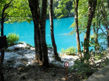 Göz kamaştırıcı, parlak, mavi bir göl, canlı yeşil ağaçlar ve yumuşak akan suyla çerçevelenmiş güneş ışığında parlıyor. Huzurlu bir doğal ortam, vahşi doğada keşif ve rahatlamaya davetiye çıkarır..