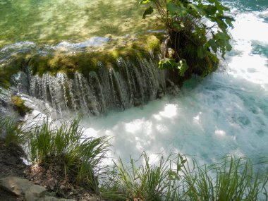 Kristal berrak su kayalık bir çıkıntının üzerinden yavaşça geçer ve sakin bir atmosfer yaratır. Bereketli yeşillik, gün ışığında doğal manzaranın güzelliğini vurguluyor..