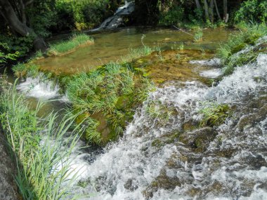 Fresh water cascades over mossy rocks, creating ripples in a tranquil stream surrounded by vibrant greenery. The peaceful setting invites relaxation and connection with nature. clipart