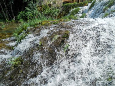 Bereketli yeşilliklerle çevrili kayaların üzerinden akan suyun yakın çekim görüntüsü. Nazik dalgalar gündüz vakti bu doğal ortamda sakin bir atmosfer yaratıyor..