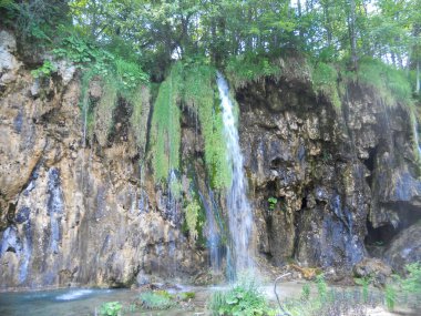 Serin bir şelale, yemyeşil yapraklarla çevrili kayalık bir yosun tabakasının üzerinde zarifçe akıyor. Huzurlu ortam düşüncelere ve doğa güzelliğine davet eder..