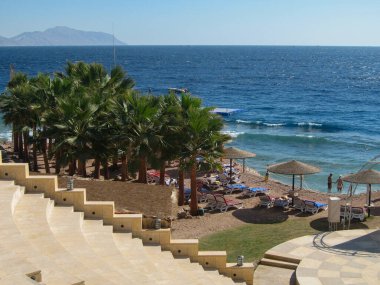 Sahile gidenlerin palmiye ağaçlarının altında dinlenip güneşin ve dalgaların tadını çıkardığı çarpıcı bir kıyı manzarası. Canlı mavi okyanus, bu Akdeniz bölgesinin sakin atmosferini güçlendiriyor..