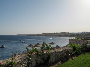 Parlak öğleden sonra ışığı, suda süzülen teknelerin olduğu sakin bir sahil sahnesini aydınlatıyor. Bereketli yeşillik ve taş bir duvar Sakin deniz manzarasını çerçeveler.