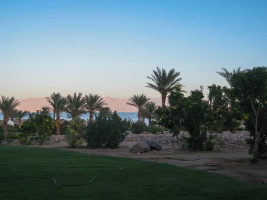 Palmiye ağaçları rüzgarda sallanırken, yumuşak dalgalar kıyıya vurur ve sakin bir atmosfer yaratır. Bereketli yeşillik ve yumuşak ufuk gün batımında sakin sularla kusursuz bir şekilde harmanlanır..