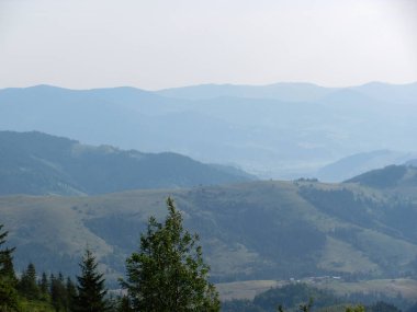 Carpathian Dağları, Ukrayna 'nın kayan tepeleri ve tepelerinden oluşan sakin bir manzarayı ortaya çıkararak, mesafeye kadar uzanıyor..