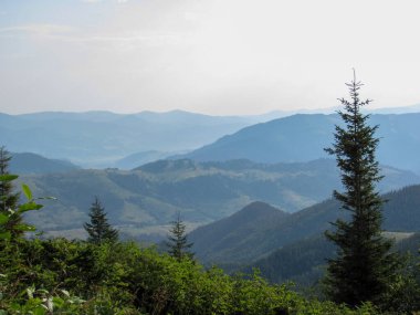 Ukrayna 'daki Karadağ Sırtı' ndan Karpat Dağları 'nı gösteren sakin bir manzara.
