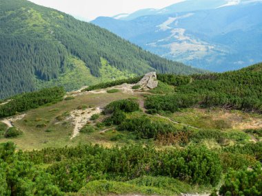 Karpatların yemyeşil tepeleri yoğun yapraklar ve kayalık çıkıntılarla çevrilidir. Sakin atmosfer, Karadağ 'ın Ukrayna sıradağlarının doğal güzelliğini vurguluyor.
