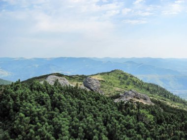 Layered mountains rise in the distance, showcasing the stunning Montenegrin ridge. Lush greenery covers the foreground, demonstrating the natural beauty of the Carpathians in Ukraine. clipart