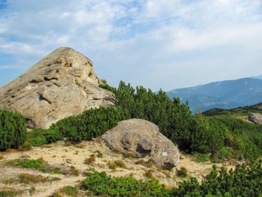 Rocky formations create a natural landscape in the Carpathians, showcasing dense green vegetation and rolling hills under a bright sky. This serene setting invites exploration and enjoyment. clipart