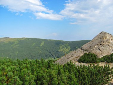 Vibrant greenery surrounds a large boulder under a clear sky in the Carpathians, showcasing the natural beauty of the Montenegrin Ridge in Ukraines diverse landscape. clipart