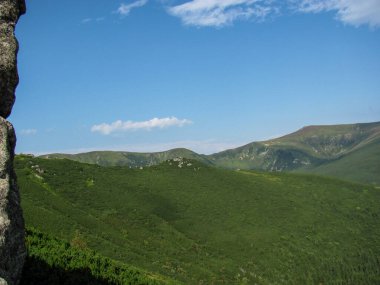 Majestic mountains stretch across the horizon under a bright blue sky. Lush green forests cover the slopes, showcasing the natural beauty of the Montenegrin ridge in the Carpathians. clipart