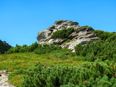 Karpatlar 'daki yemyeşil bitki örtüsünün üzerinde yükselen eşsiz bir kaya oluşumu, Karadağ sırasının güzelliğini gözler önüne seriyor. Açık mavi gökyüzü doğal manzarayı güzelleştirir..