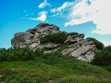 Karpat Dağları 'nda yemyeşil yemyeşil ortamda belirgin bir kaya oluşumu oluşuyor. Karadağ sırtının bu doğal simgesi, engebeli güzellikleri gözler önüne seriyor..