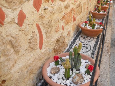 Terracotta tencerelerindeki büyüleyici kaktüs gösterisi taş duvar yolunu kaplıyor. Renkli kırmızı süslemeler ve beyaz çakıl taşları güneşli bir günde bahçeleri canlandırır..