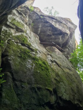 Yeşil bir kanyonun üzerinde yosun kaplı yüksek kaya oluşumları. Güneş ışığı ağaçların arasından süzülüp bu doğal harikada sakin bir atmosfer yaratır..