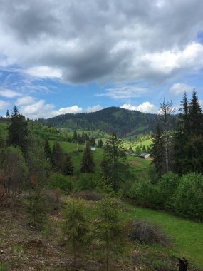 Bereketli yeşil tepeler bulutlu bir gökyüzünün altında sakin bir dağ manzarasında uzanıyor. Ağaçlar bölgeyi işaretlerken, uzak kır evleri canlı kırsal kesimde görülebilir..