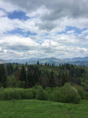 Geniş yeşil tepeler kabarık bulutların altında uzanıyor. Çam ağaçları manzarayı noktalıyor, uzak mesafelerde yuvarlanan dağlarla sakin bir kırsal manzara yaratıyor..