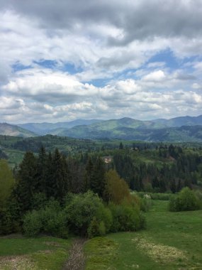 Bereketli yeşil tepeler bulutlu bir gökyüzünün altında arazi boyunca uzanıyor. Ağaçların ve açık alanların karışımı huzurlu bir ortam yaratır, sakin bir günde güzellikleri gözler önüne serer..