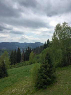 Bulutlu bir gökyüzünün altında yeşil tepeler ve sık ormanlar barındıran güzel bir manzara. Yuvarlanan arazi keşfi davet ediyor, dış mekanlarda sükunet ve sükunet sergiliyor.