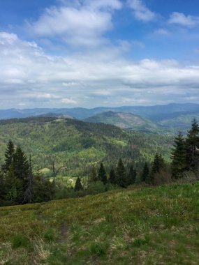 Bulutlu bir gökyüzünün altında yuvarlanan yeşil tepelerin ve dağların panoramik görüntüsü. Çam ağaçları manzarayı süslüyor, sakin bir ortamda doğanın canlı güzelliğini sergiliyor..