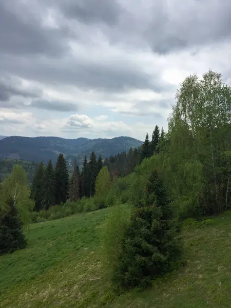 Bulutlu bir gökyüzünün altında yeşil tepeler ve sık ormanlar barındıran güzel bir manzara. Yuvarlanan arazi keşfi davet ediyor, dış mekanlarda sükunet ve sükunet sergiliyor.