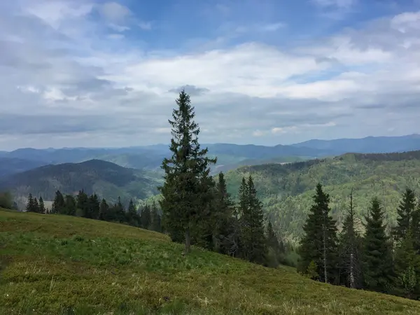 Bereketli yeşil tepeler ve yüksek ağaçlar huzurlu bir manzara yaratır. Sakin atmosfer, parçalı bulutlu bir gökyüzünün altında uzak dağlardan oluşan bir zemin ile güçlenir ve keşifleri davet eder..