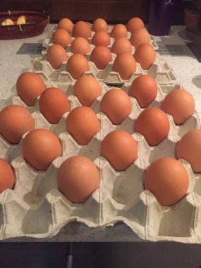 Taze kahverengi yumurta koleksiyonu bir yumurta kutusunda düzgünce düzenlenir. Yumurtalar düzgün yerleştirilmiş, pürüzsüz yüzeyleri ve doğal renkleri sergileniyor. Ayarlar temiz ve düzenli görünüyor..