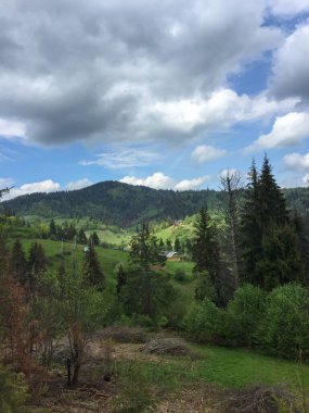 Yeşil yemyeşil tepeler, ağaçlarla benekli arazi boyunca uzanıyor. Yumuşak bulutlar canlı, doğal bir manzaranın üzerinde sürükleniyor, sakin bir dağ manzarasında bahar zamanının güzelliğini gösteriyor..