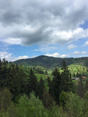 Yuvarlanan yeşil tepeler etkileyici bulutlarla dolu uçsuz bucaksız gökyüzünün altındaki ağaçlarla doludur. Sakin manzara kırsal kesimdeki bahar mevsiminde doğanın güzelliğini yansıtır..