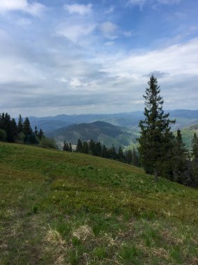 Yuvarlanan dağlara bakan geniş bir yamaçtan geniş bir manzara, yemyeşil alanlar, ve parçalı bulutlu bir gökyüzünün altında ağaçlar. Doğa güzelliğini bu sakin açık havada sergiliyor..