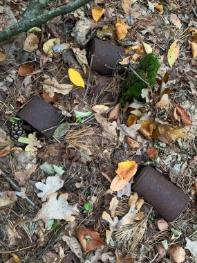 Birkaç paslı teneke kutu, ormandaki renkli sonbahar yaprakları arasında dinleniyor. Doğal ayar, doğanın sakin ama ihmal edilmiş bir parçasını tasvir eden, düşen dallar ve yosunlar sergiliyor..