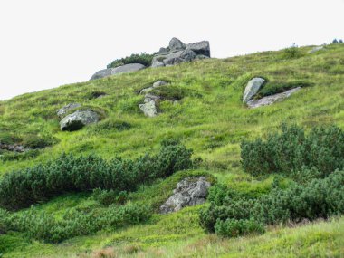 Kayalık yamaçlarda açık bir gökyüzü altında yemyeşil çimenler ve çalılar sergilenir. Doğal ortam, sakin çevrenin güzelliğini vurguluyor. Doğanın keşfini ve takdir edilmesini teşvik ediyor..