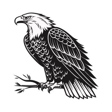 Eagle art vector illustration featuring a powerful and majestic eagle design, ideal for patriotic themes, wildlife art, outdoor branding, and educational materials, capturing the strength and grace of eagles in detailed vector form clipart