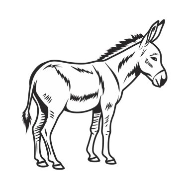 A Donkey Vector Art Illustration