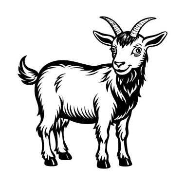 This vector showcasing a detailed, stylized depiction of a goat. Ideal for farm-themed designs, educational content, or rustic projects, this vector art captures the goat's unique features in a versatile scalable format for both digital and print use clipart