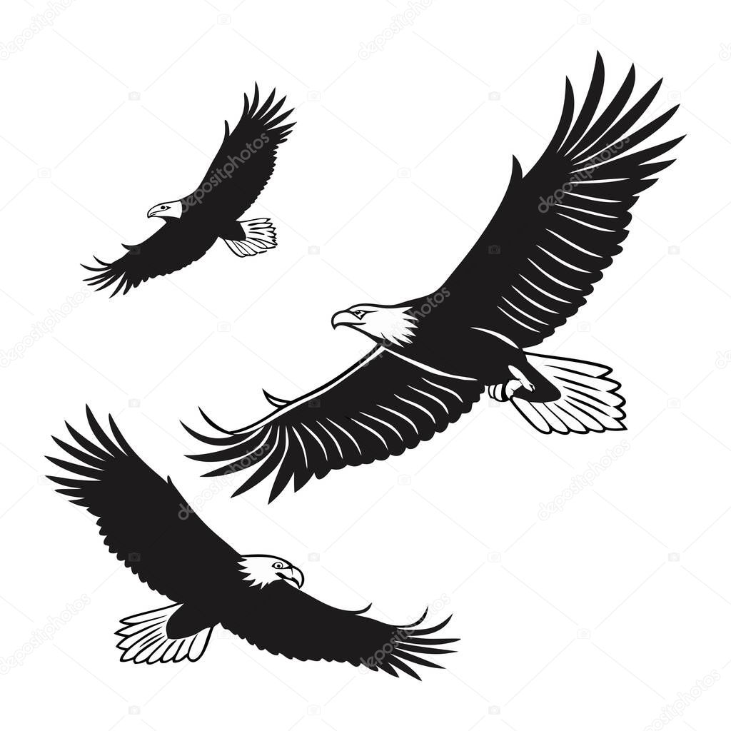 Three black and white illustrations of bald eagles in flight, set against a plain white background.