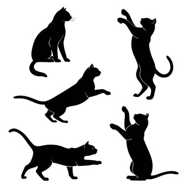 Kedi vektör siluetleri beyaz arka plan kedilerine farklı pozlarda izole edilmiş.