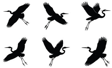 Heron in Flight Silhouette Vektör Tasarımı illüstrasyonu