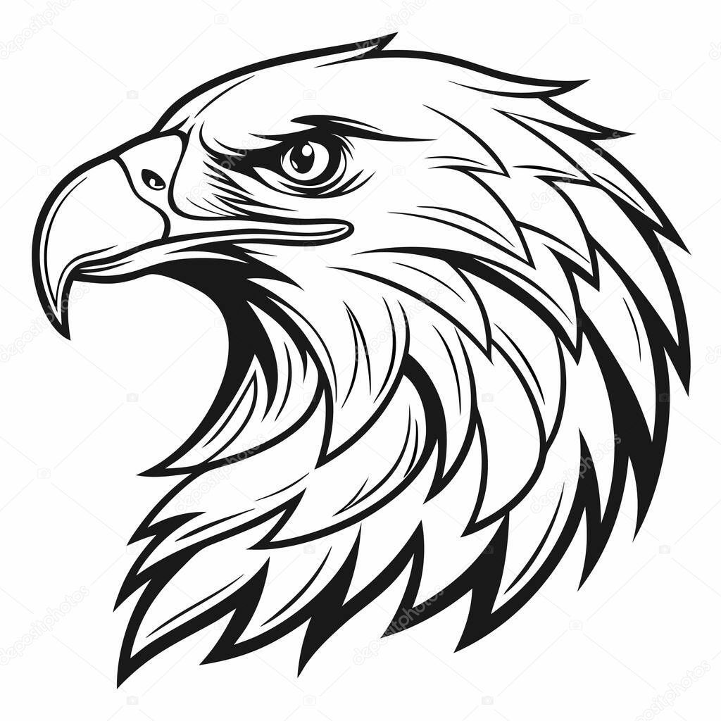 A detailed line art drawing of an eagle's head in profile view