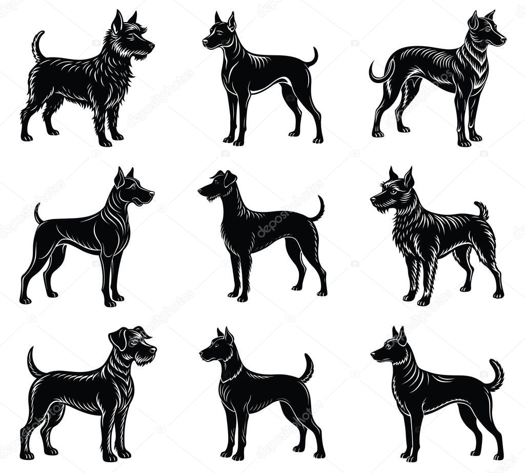 Elegant nine black silhouette illustrations feature various popular dog breeds in standing poses, perfect for decorative designs