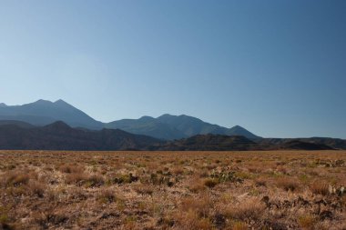 Arkasında dağlar olan çöl vadisi tabanı.