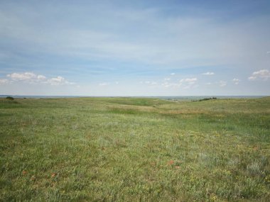 Geniş çayırlık arazi büyük gökyüzü ve ufuk ile